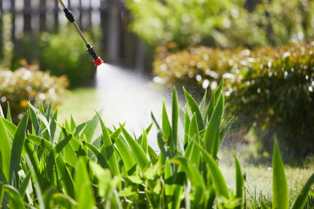Void Injection for Cockroach Colonies in East Pasadena