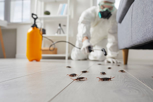 Commercial Kitchen Cockroach Control in East Pasadena